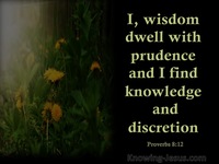 Proverbs 8:12